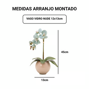 Arranjo de Orquídea Siena