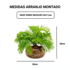 Arranjo Samambaia Turim