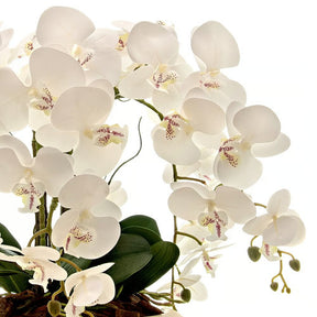 Arranjo Orquídea 6 Hastes Branco Capadócia