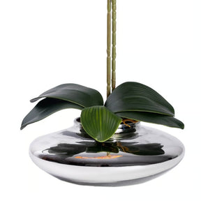 Arranjo Orquídea Viena
