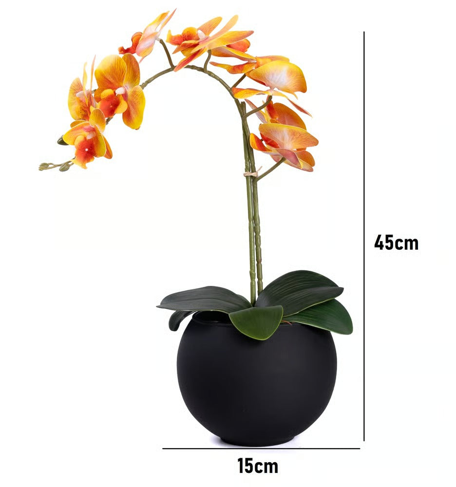 Arranjo Orquídea Riad