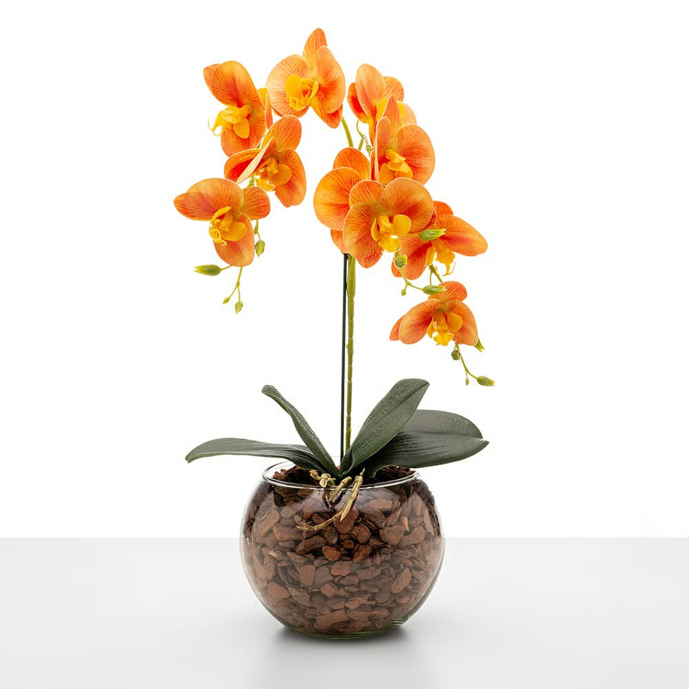Arranjo de Orquídea Roma