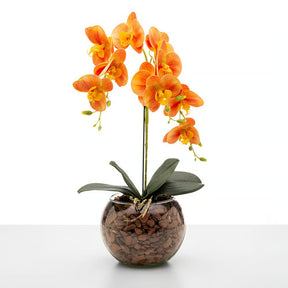 Arranjo de Orquídea Roma