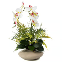 Arranjo Orquídea Atenas
