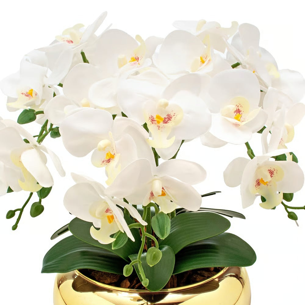 Arranjo Orquídea Paris 6 Hastes Branco Vaso Dourado