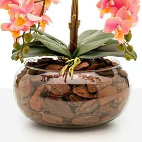 Arranjo Orquídea Vitória 4 Hastes