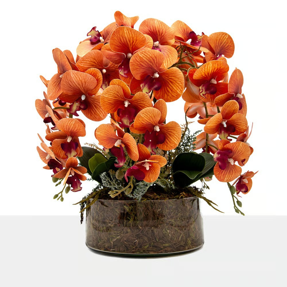 Arranjo Orquídea Los Angeles 6 Hastes