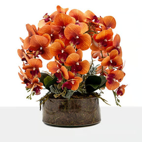 Arranjo Orquídea Los Angeles 6 Hastes
