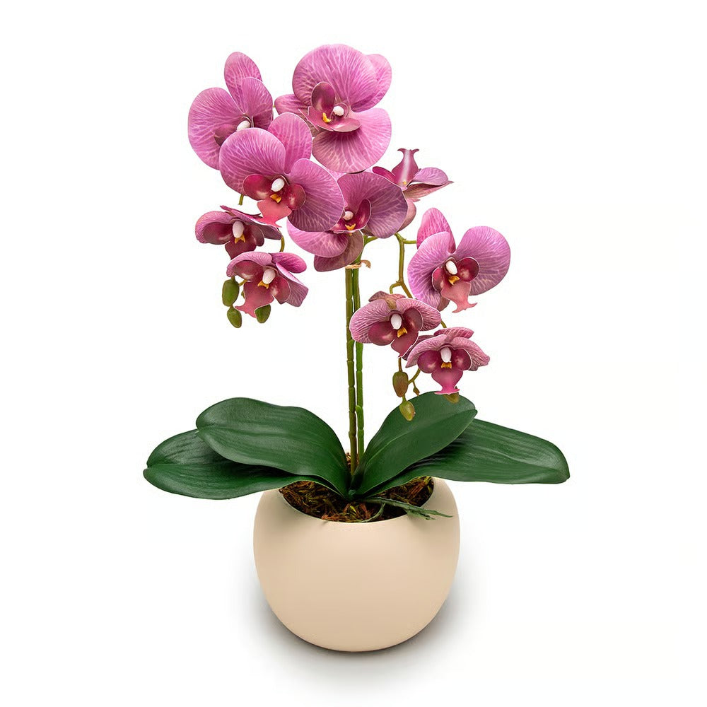 Arranjo Orquídea Munique