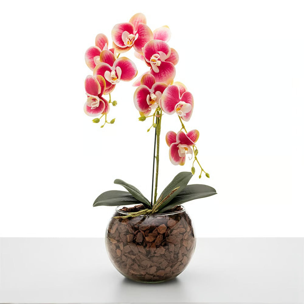 Arranjo de Orquídea Roma