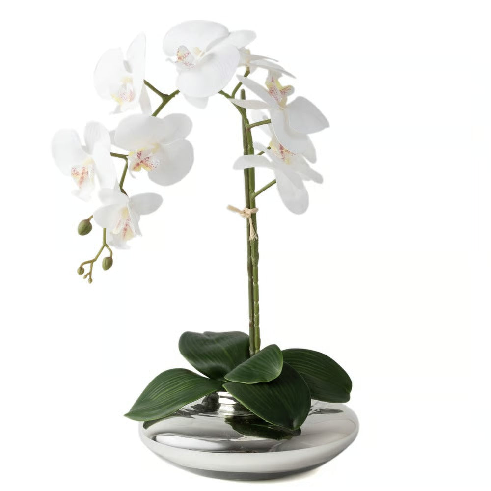 Arranjo Orquídea Viena
