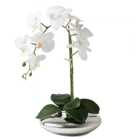 Arranjo Orquídea Viena