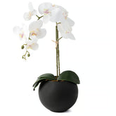Arranjo Orquídea Riad