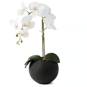 Arranjo Orquídea Riad