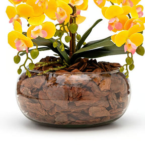 Arranjo Orquídea Viçosa 6 Hastes