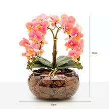 Arranjo Orquídea Vitória 4 Hastes