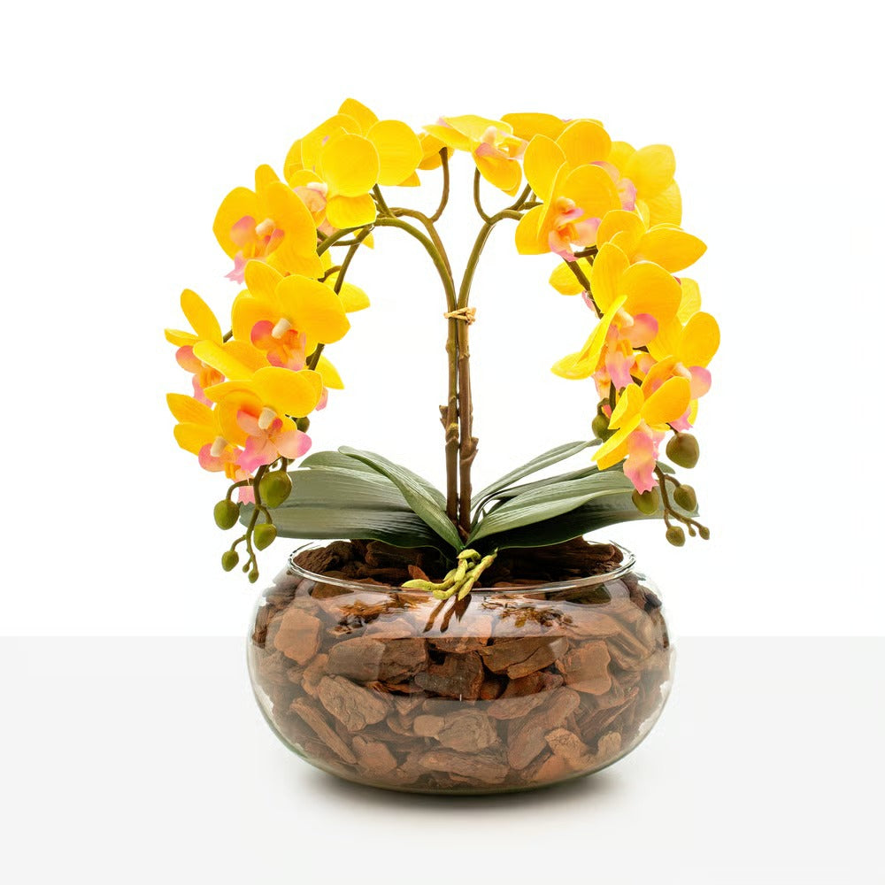 Arranjo Orquídea Vitória 4 Hastes