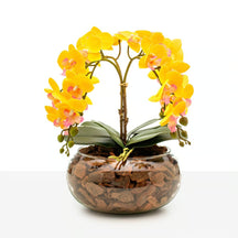 Arranjo Orquídea Vitória 4 Hastes