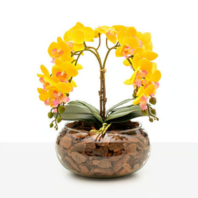 Arranjo Orquídea Vitória 4 Hastes