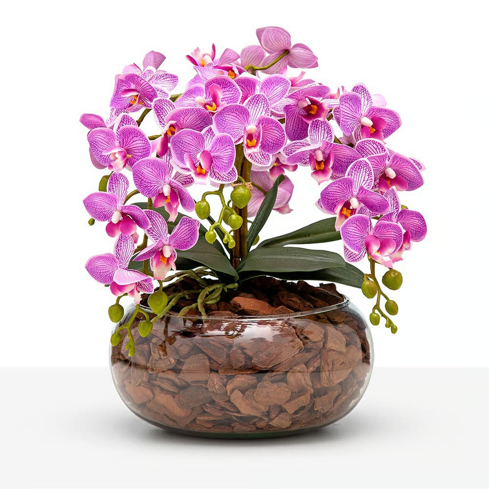 Arranjo Orquídea Viçosa 6 Hastes