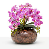 Arranjo Orquídea Viçosa 6 Hastes
