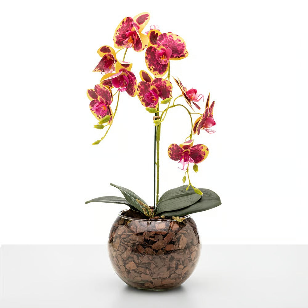 Arranjo de Orquídea Roma