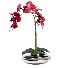 Arranjo Orquídea Viena