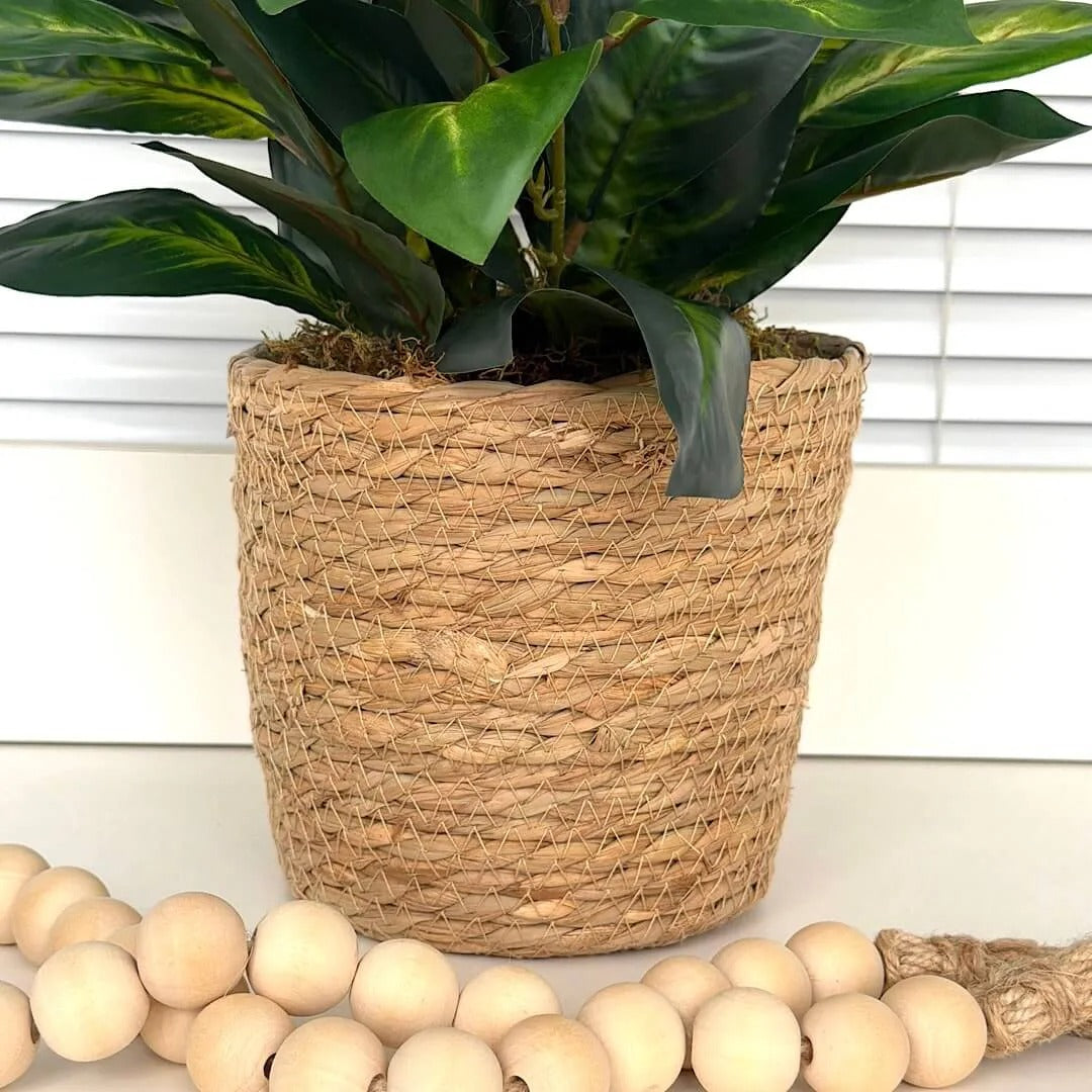 Folhagens com Cesto em Vime Natural | Centro de Mesa