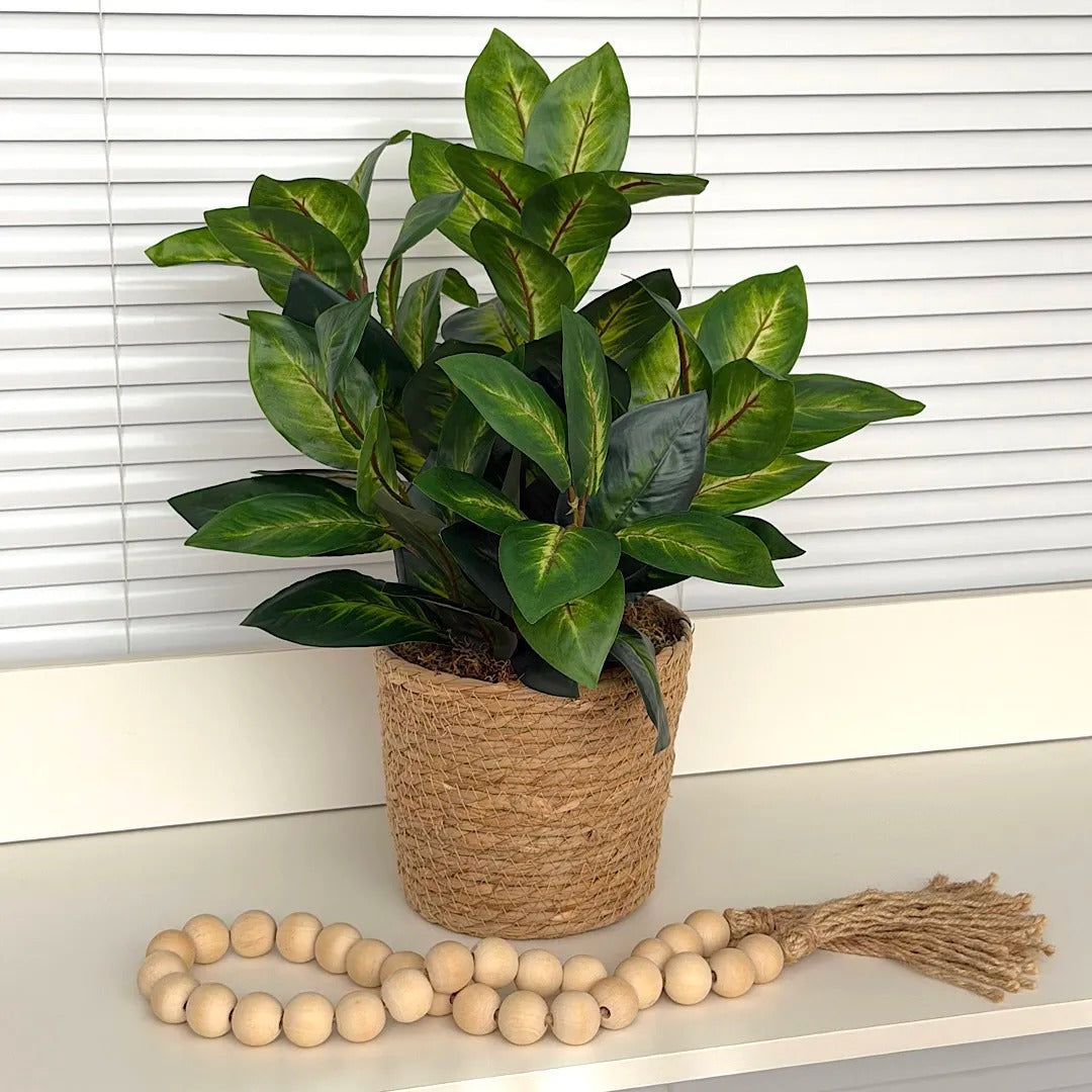 Folhagens com Cesto em Vime Natural | Centro de Mesa