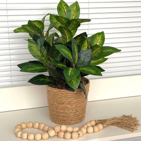 Folhagens com Cesto em Vime Natural | Centro de Mesa