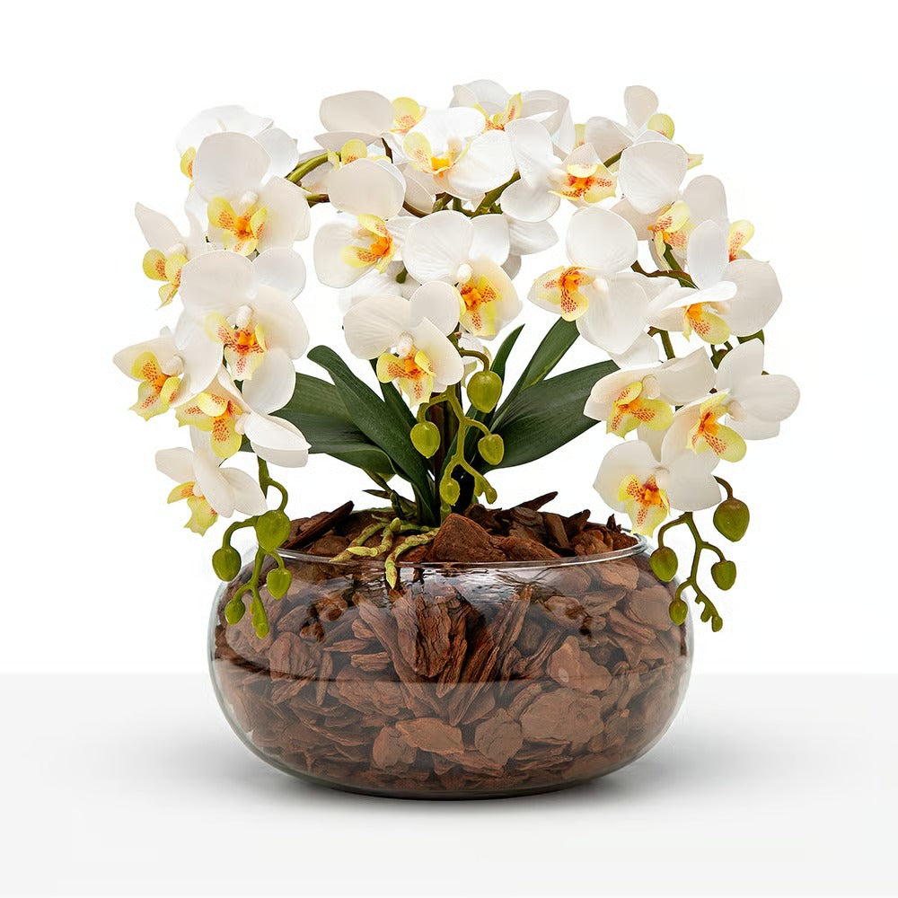Arranjo Orquídea Viçosa 6 Hastes