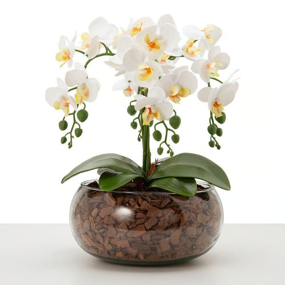 Arranjo Orquídea Vitória 4 Hastes