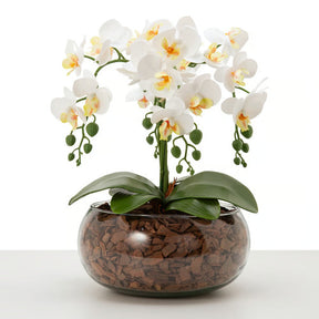 Arranjo Orquídea Vitória 4 Hastes