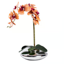 Arranjo Orquídea Viena