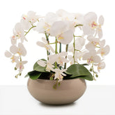 Arranjo Orquídea Santorini 4 Hastes