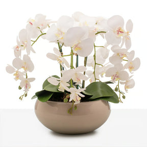 Arranjo Orquídea Santorini 4 Hastes