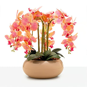 Arranjo Orquídea Santorini 4 Hastes