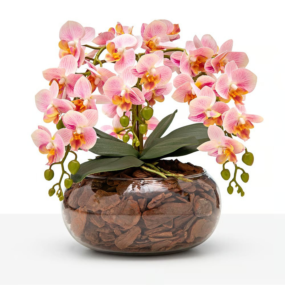 Arranjo Orquídea Viçosa 6 Hastes