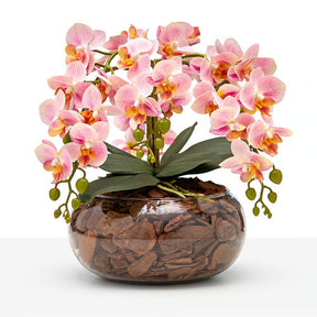 Arranjo Orquídea Viçosa 6 Hastes