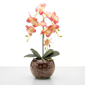 Arranjo de Orquídea Roma