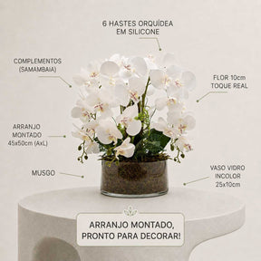 Arranjo Orquídea Los Angeles 6 Hastes